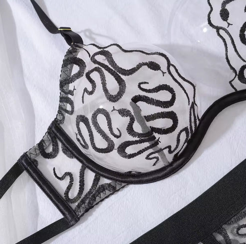 EMILY'S LINGERIE SET
